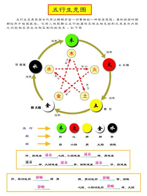 五行木系顏色|易经中的五行对应颜色